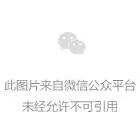 山東省紡織機械集團(tuán)公司2014年會暨2015春節(jié)團(tuán)拜會報道